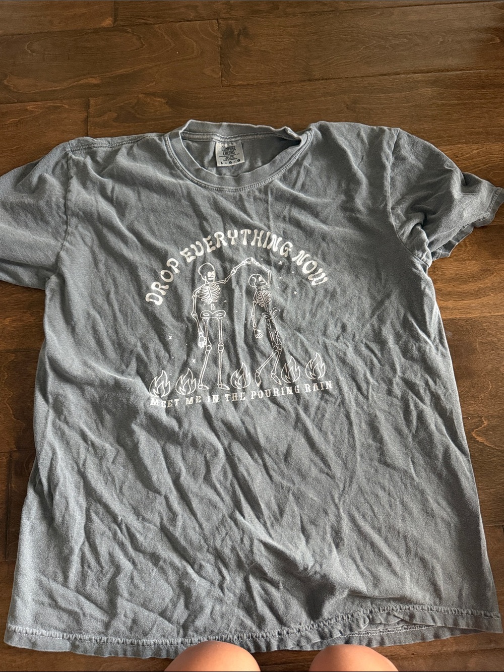 Taylor swift lyric Gray Graphic Short-Sleeve Men’s T-Shirt - Drop Everything Now